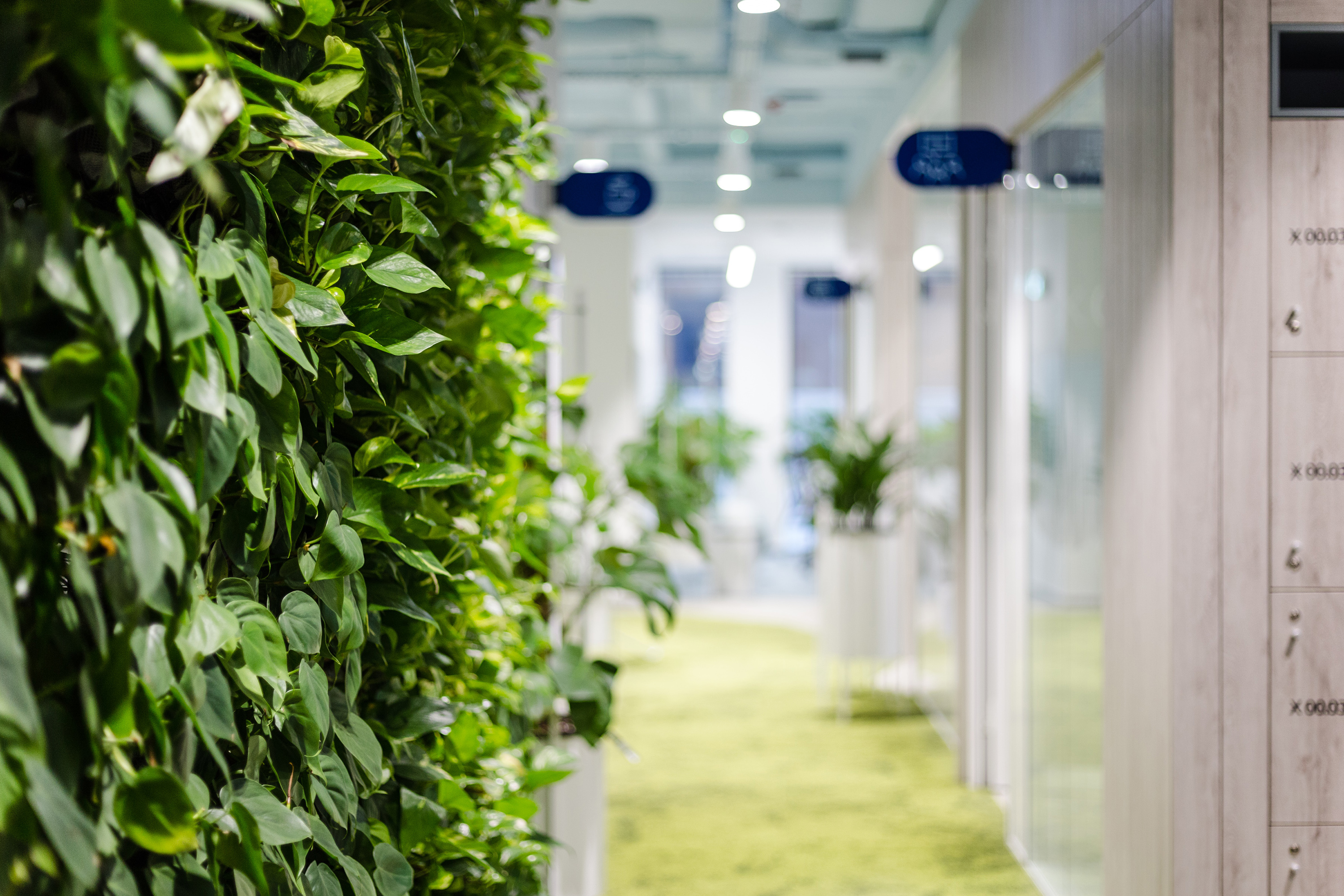 Najbardziej zielone biuro na świecie? | Nordea