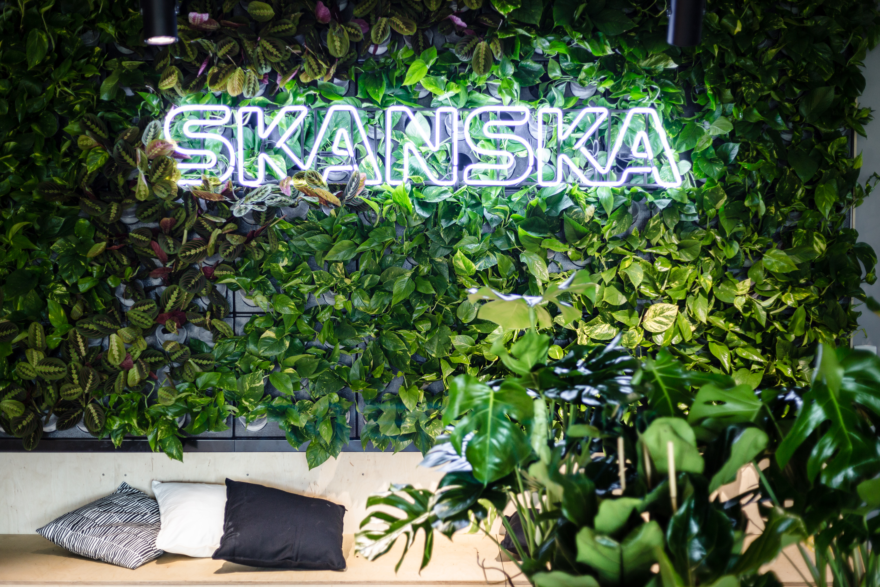 Biosfera w biurze | Skanska