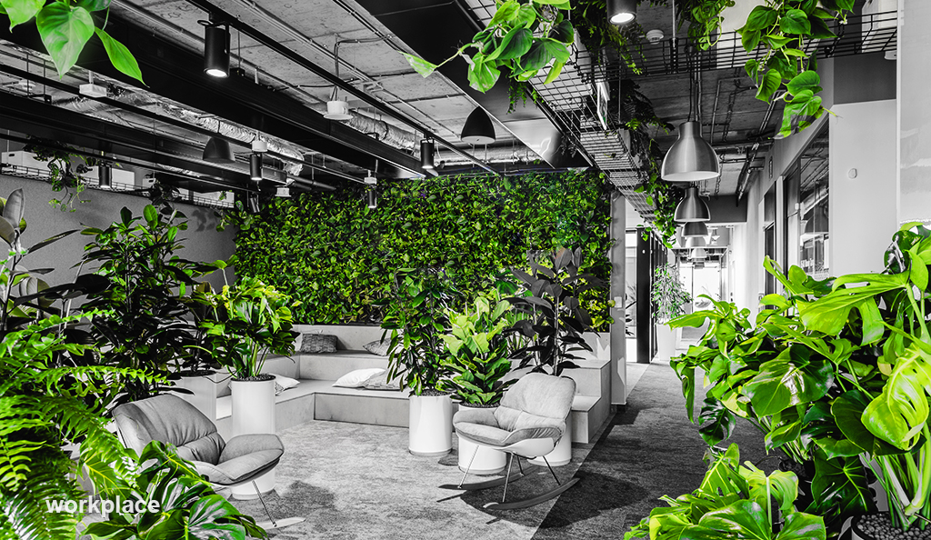 Biophilic guide | How to create a healthy workplace